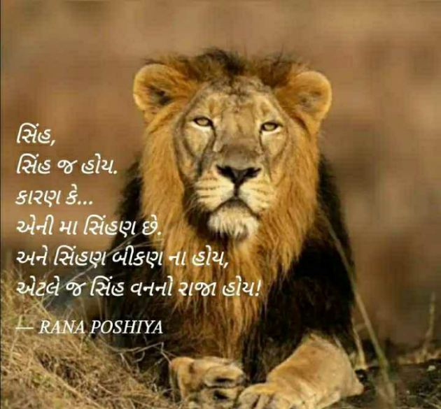 Gujarati Quotes by R G POSHIYA : 111890048