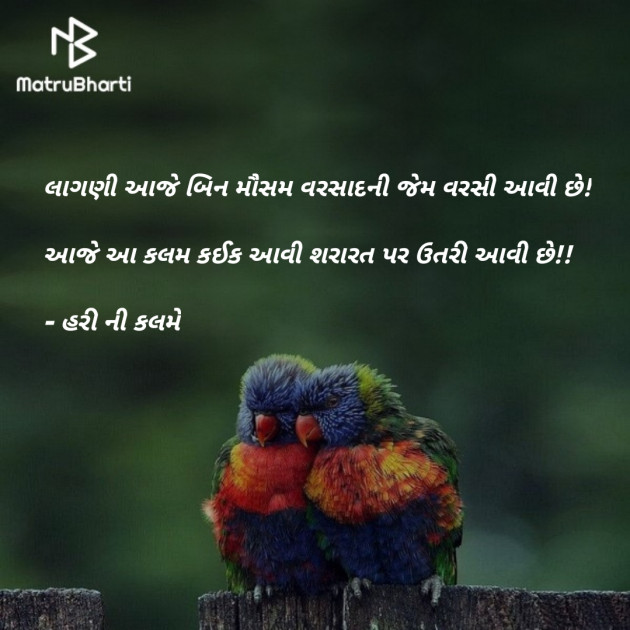 Gujarati Shayri by Haresh Chavda : 111890713