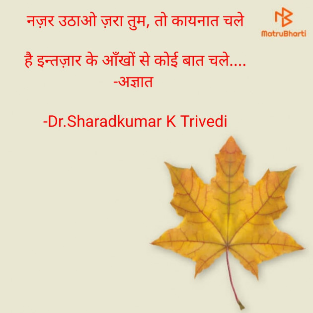 Hindi Whatsapp-Status by Dr.Sharadkumar K Trivedi : 111890928