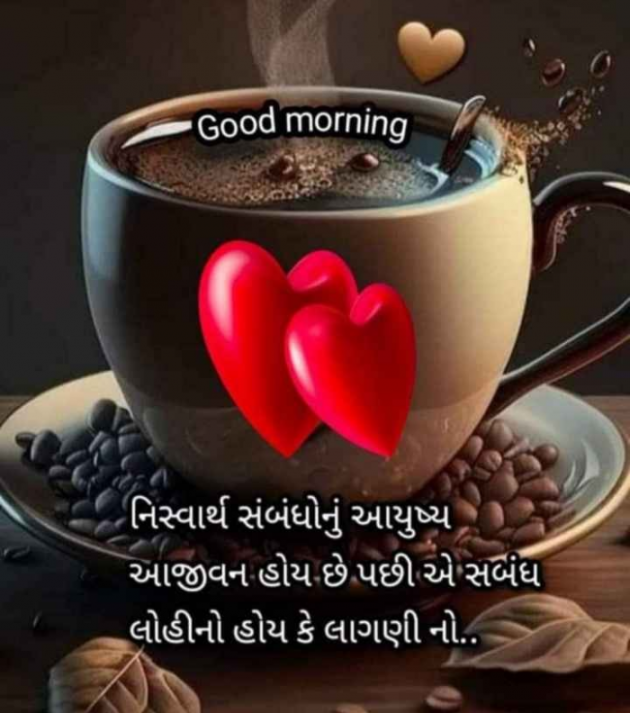 Gujarati Whatsapp-Status by jighnasa solanki : 111891024