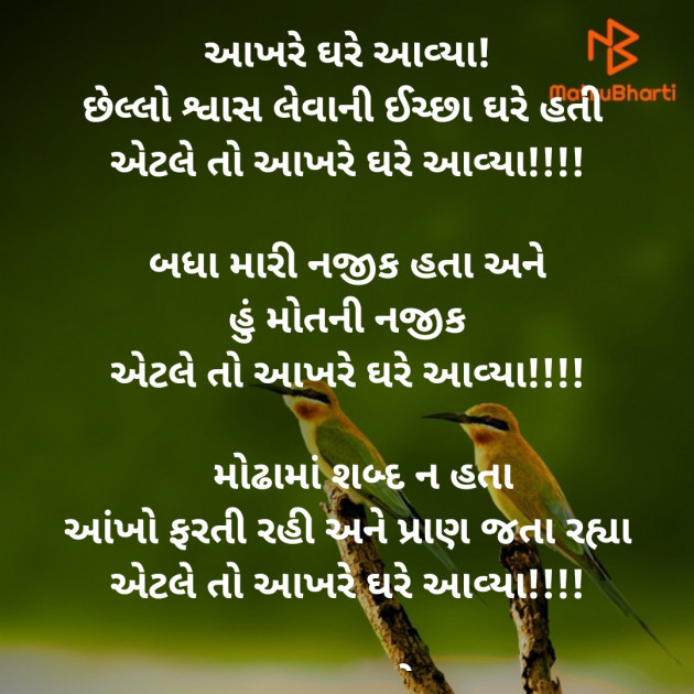 Gujarati Poem by Dave Yogita : 111891463