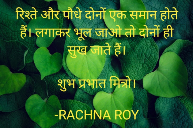 Hindi Quotes by RACHNA ROY : 111891544