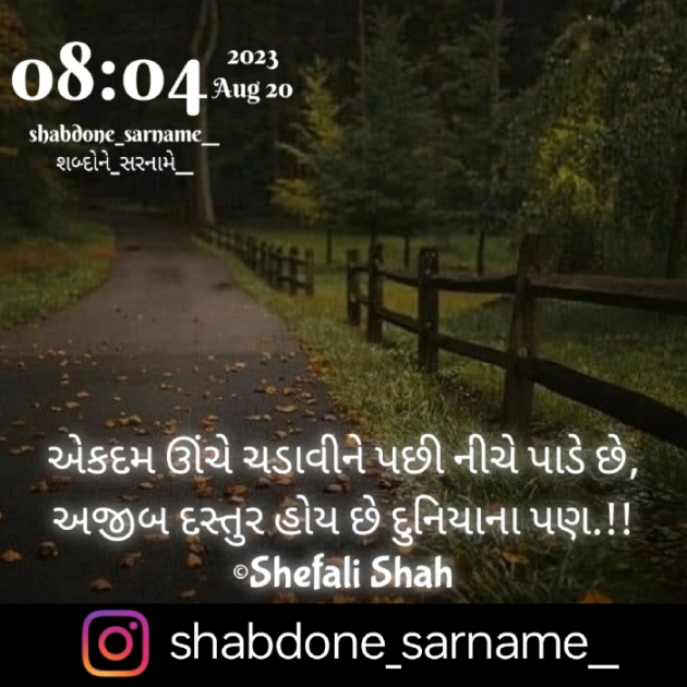 Gujarati Whatsapp-Status by Shefali : 111891704