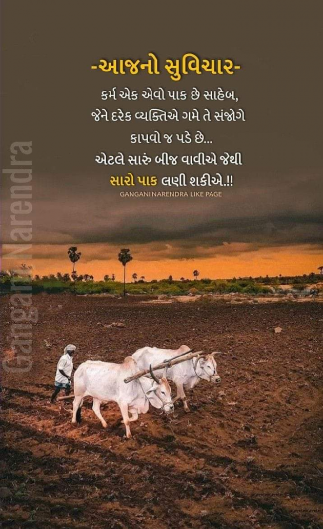 Gujarati Motivational by Mona Ghelani : 111891915