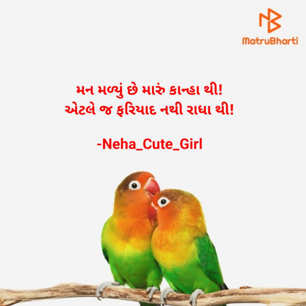 Gujarati Whatsapp-Status by Neha_Cute_Girl : 111892011