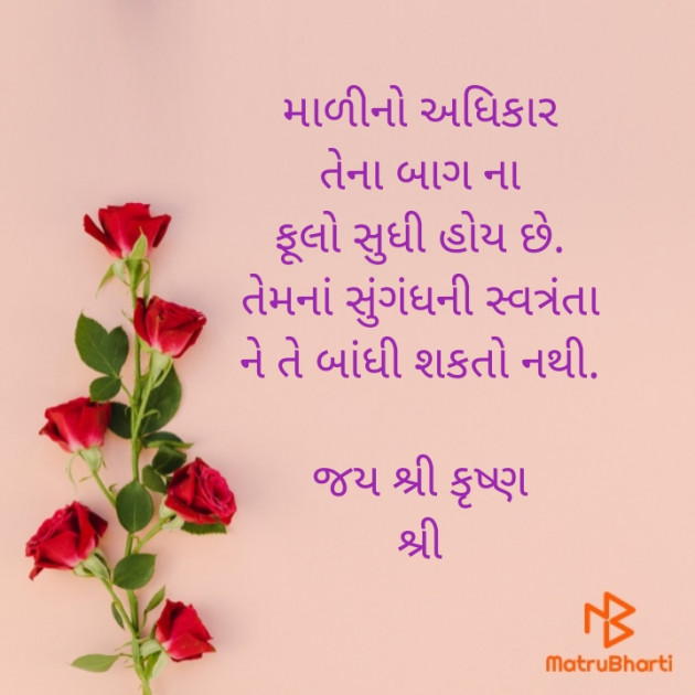 Gujarati Whatsapp-Status by Gor Dimpal Manish : 111891753