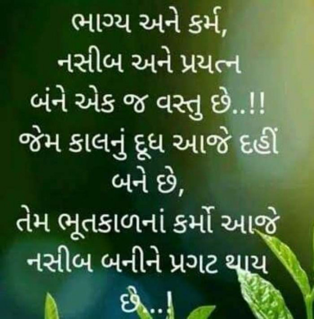 Gujarati Whatsapp-Status by Zala Jayvirsinh : 111892377