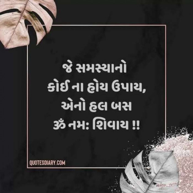 Gujarati Whatsapp-Status by Zala Jayvirsinh : 111892380