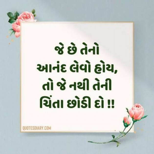 Gujarati Whatsapp-Status by Zala Jayvirsinh : 111892381