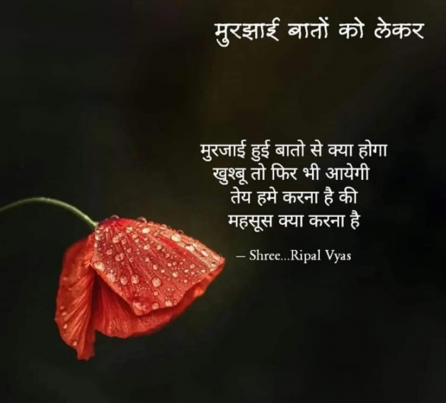 Hindi Blog by Shree...Ripal Vyas : 111892693