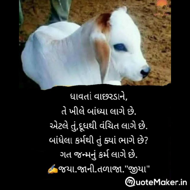 Gujarati Whatsapp-Status by Jaya.Jani.Talaja.