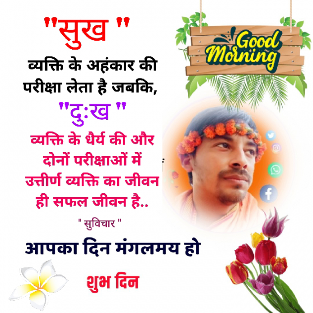 Hindi Quotes by Dilip Yadav : 111893684