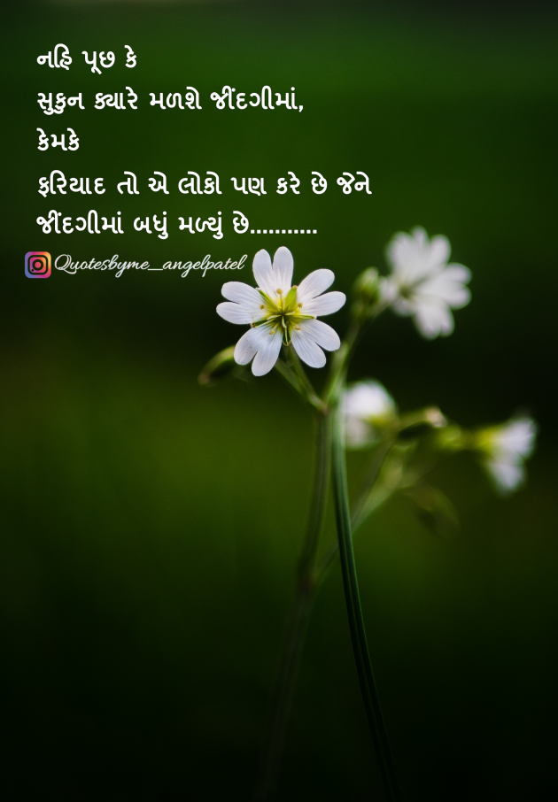 Gujarati Quotes by Ankita Patel : 111893779