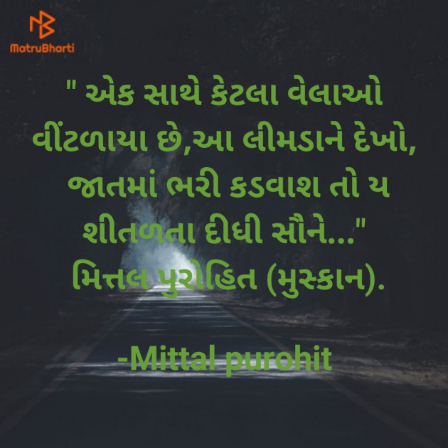 Gujarati Blog by Mittal purohit : 111893978