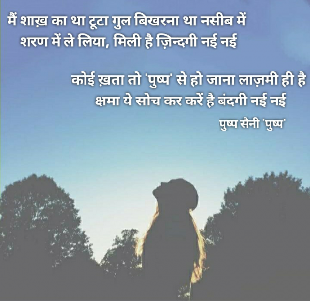 Hindi Shayri by Pushp Saini : 111894203