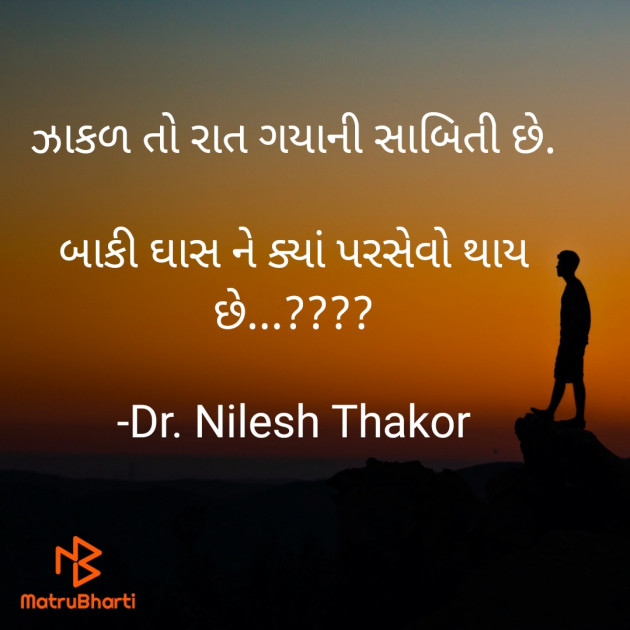 Gujarati Shayri by Dr. Nilesh Thakor : 111894291