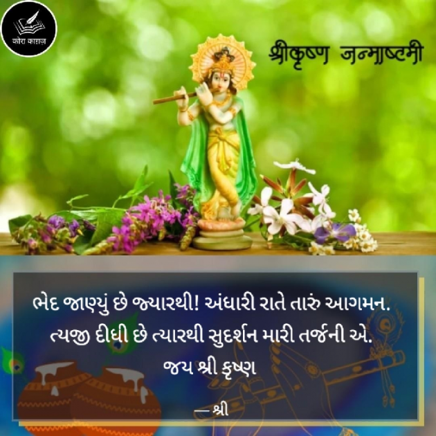 Gujarati Whatsapp-Status by Gor Dimpal Manish : 111894736