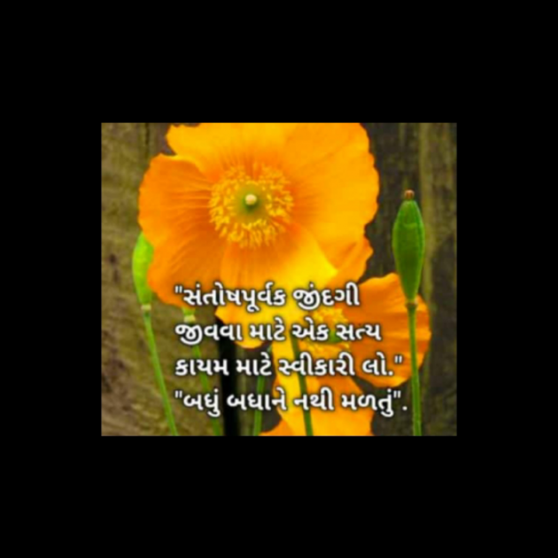 Gujarati Motivational by Krishna Rajput : 111894833