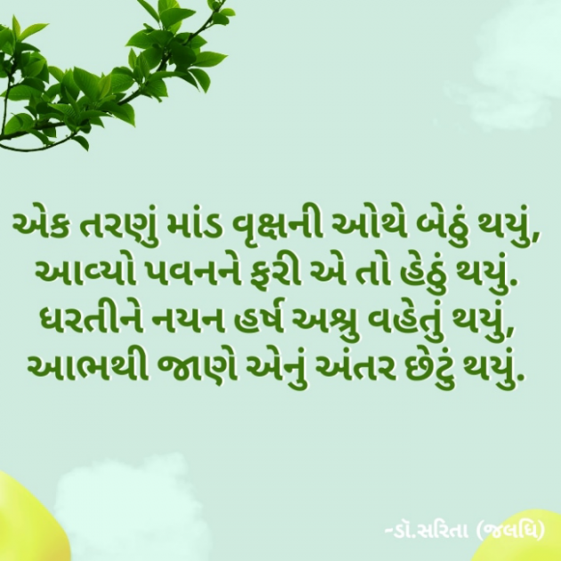 Gujarati Shayri by Dr.Sarita : 111895111