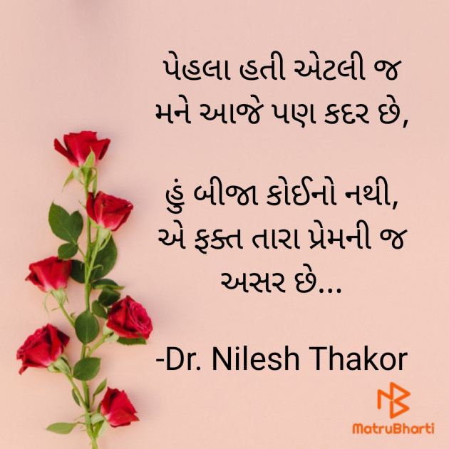 Gujarati Shayri by Dr. Nilesh Thakor : 111895439