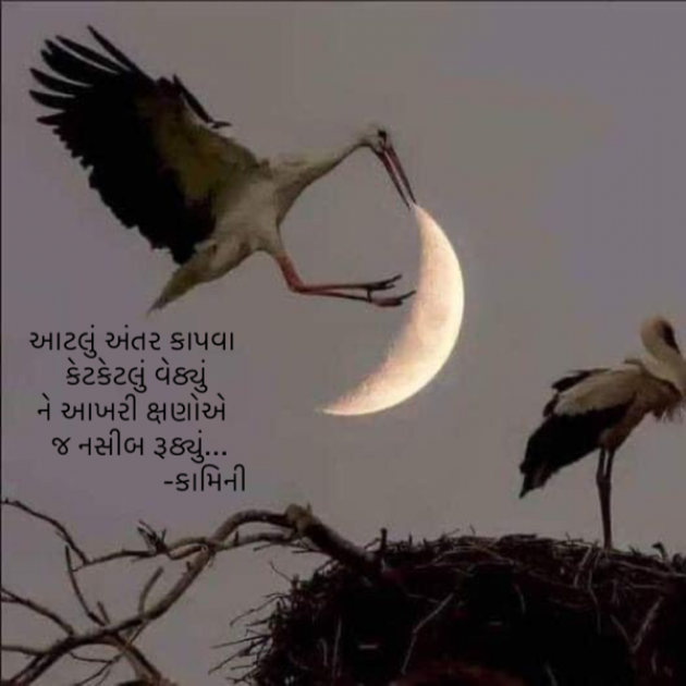 Gujarati Poem by Kamini Shah : 111896573