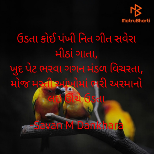 Gujarati Motivational by Savan M Dankhara : 111896633