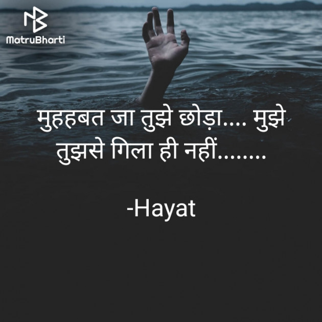 Hindi Shayri by Hayat : 111897194