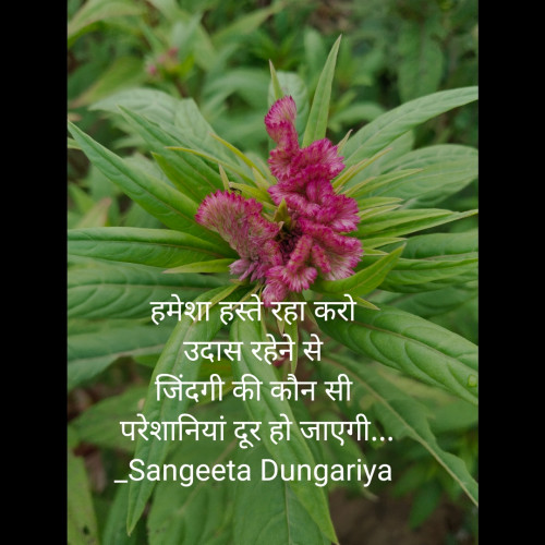 Post by Sangeeta Dungariya on 25-Sep-2023 07:49am