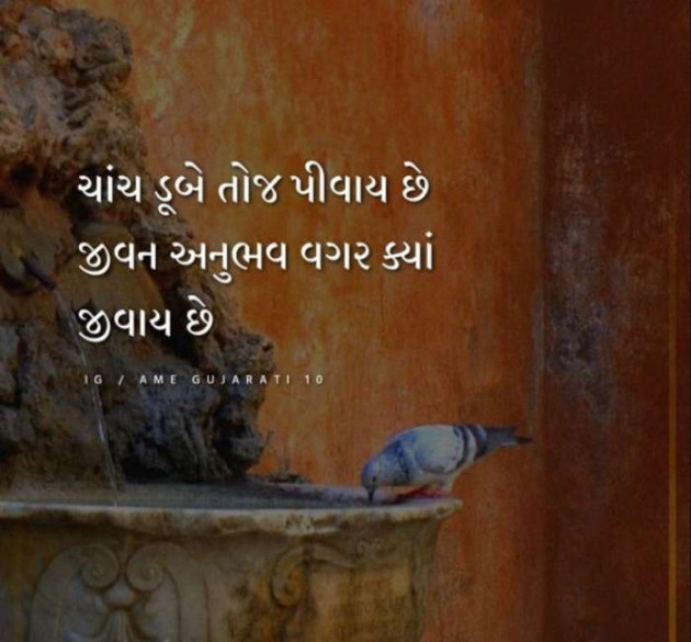 Gujarati Whatsapp-Status by Zala Jayvirsinh : 111897427