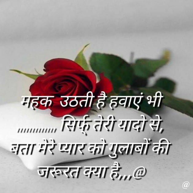 Hindi Shayri by Abbas khan : 111897470