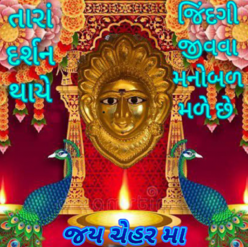 bhavnabhatt154654