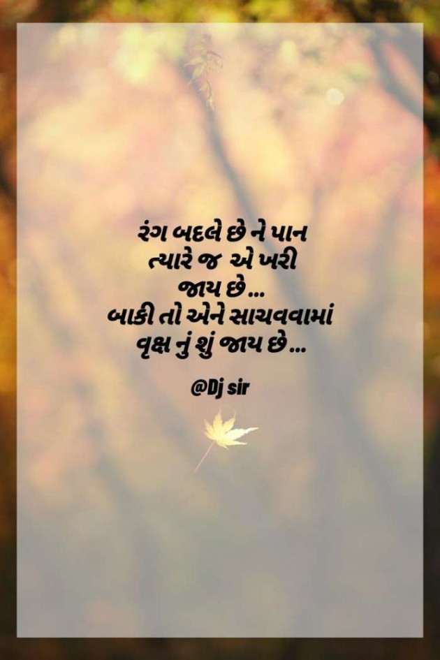 Gujarati Whatsapp-Status by Zala Jayvirsinh : 111898269