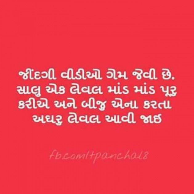 Gujarati Whatsapp-Status by Zala Jayvirsinh : 111898271