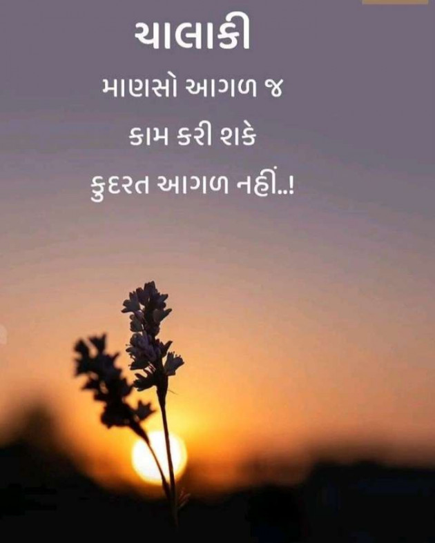 Gujarati Whatsapp-Status by Zala Jayvirsinh : 111898601