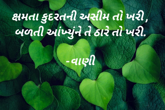 Gujarati Shayri by vaani manundra : 111898644