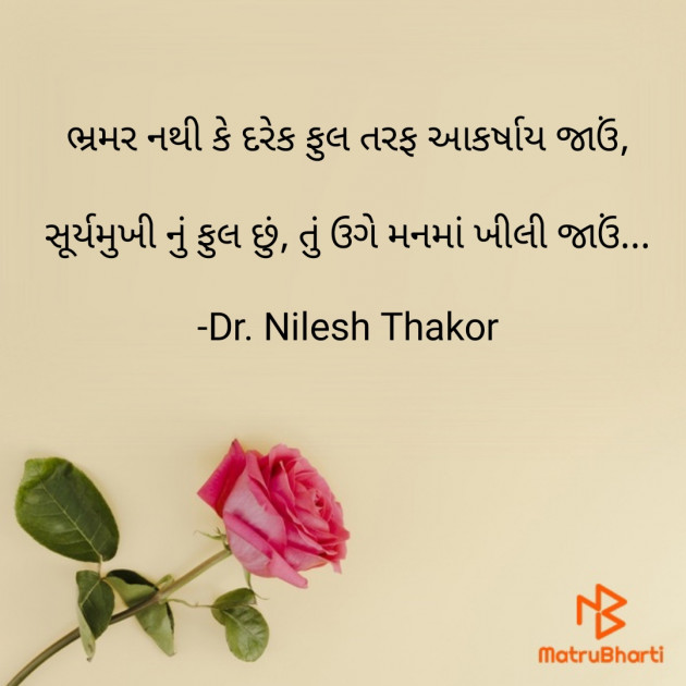 Gujarati Shayri by Dr. Nilesh Thakor : 111898802