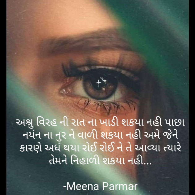 Gujarati Blog by Meena Parmar : 111898919