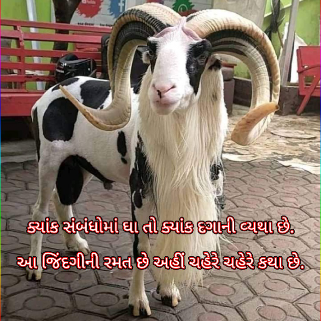 Gujarati Motivational by Bhavna Bhatt : 111899400