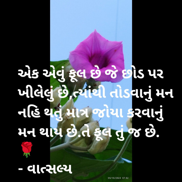 Gujarati Thought by वात्सल्य : 111899485