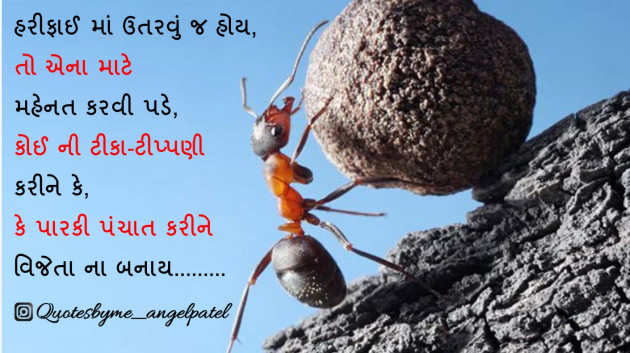 Gujarati Quotes by Ankita Patel : 111899558