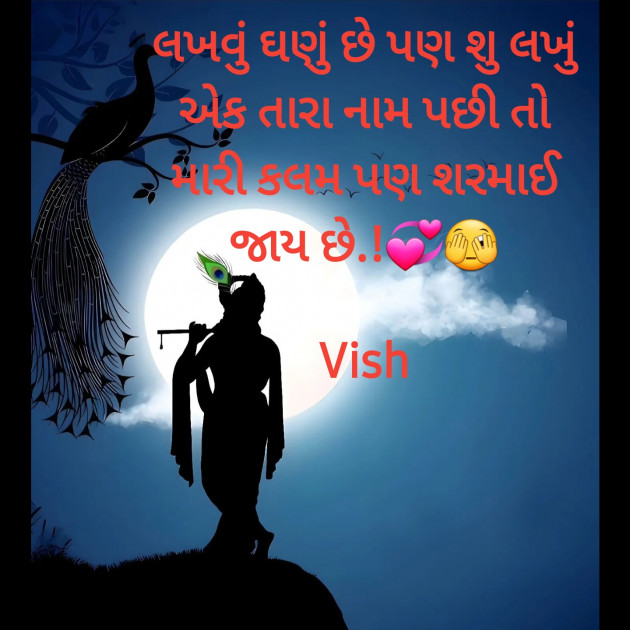 Gujarati Romance by Vish : 111899640