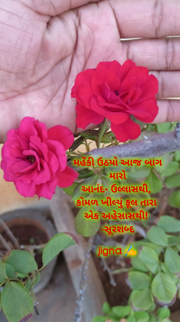 Gujarati Whatsapp-Status by Jigna Pandya : 111899775