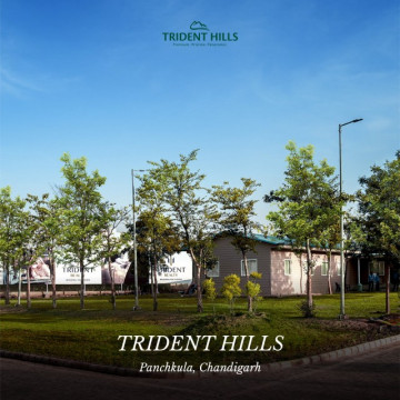 tridenthills