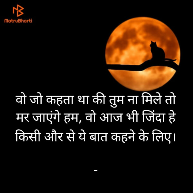 Hindi Shayri by Shailesh : 111900489