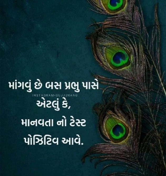 Gujarati Good Morning by Mona Ghelani : 111900626