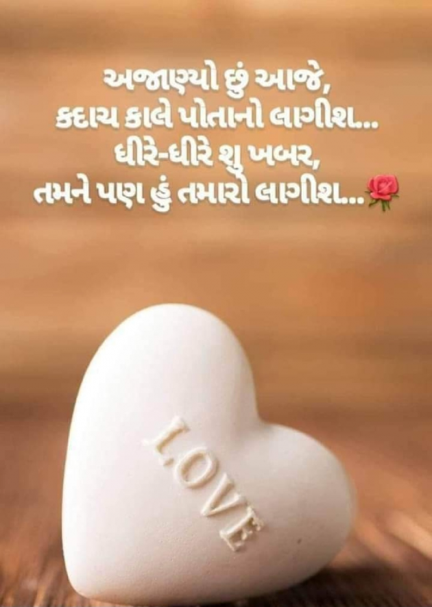 Gujarati Whatsapp-Status by Manoj Leuva : 111901984