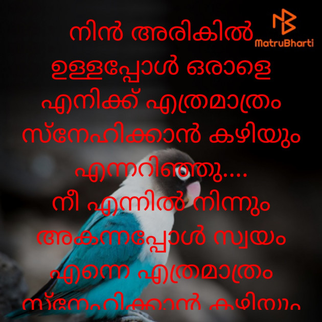 Malayalam Romance by Chithra Chithu : 111850723