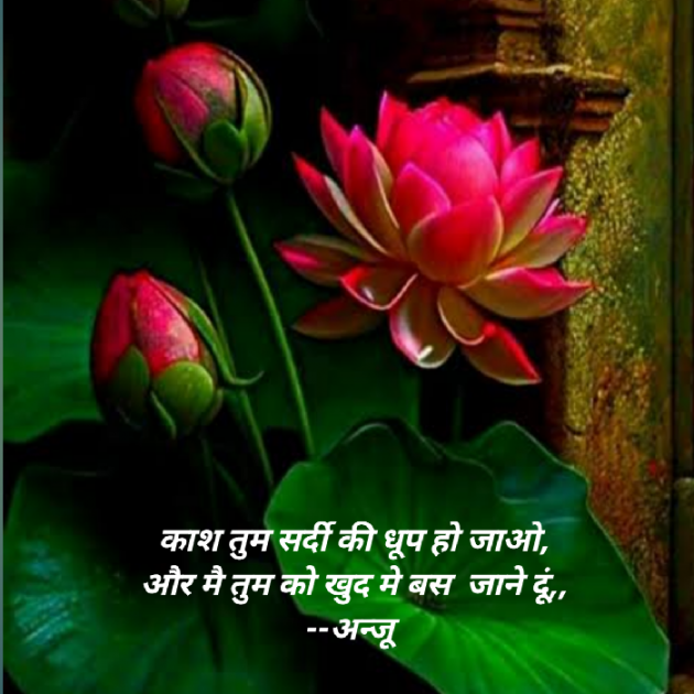 Hindi Shayri by Anju Kumari : 111902170