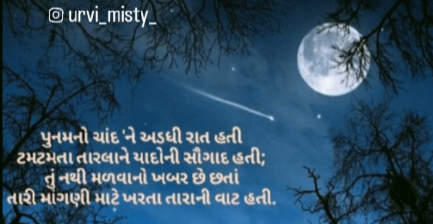 Gujarati Shayri by Urvi Bambhaniya : 111902315