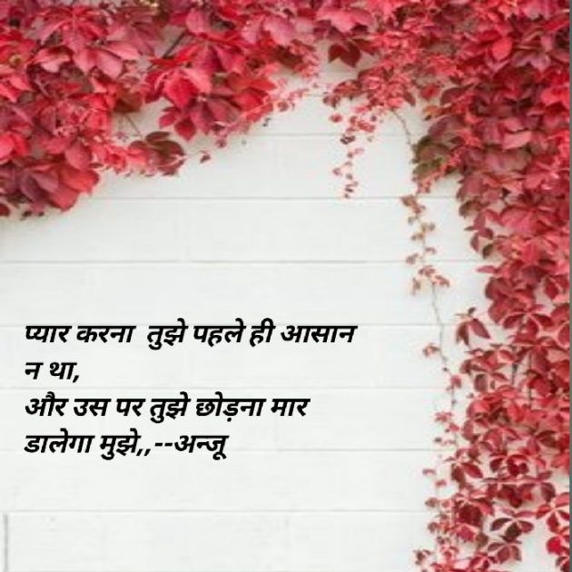 Hindi Shayri by Anju Kumari : 111903088